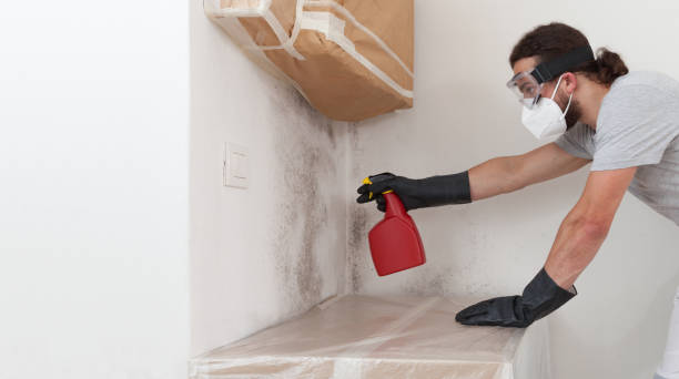 Professional Mold Remediation technician working in Abingdon, IL