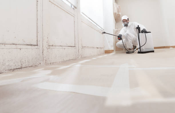 24/7 Emergency Mold Remediation experts in Abingdon, IL