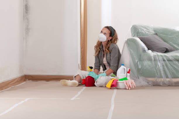 Reliable Mold Remediation contractor in Abingdon, IL by 24 Hour Mold Removal
